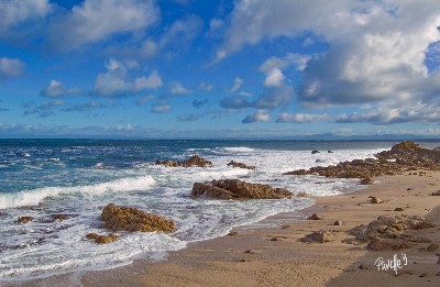 Pacific Grove Seascape - Canvas Giclee